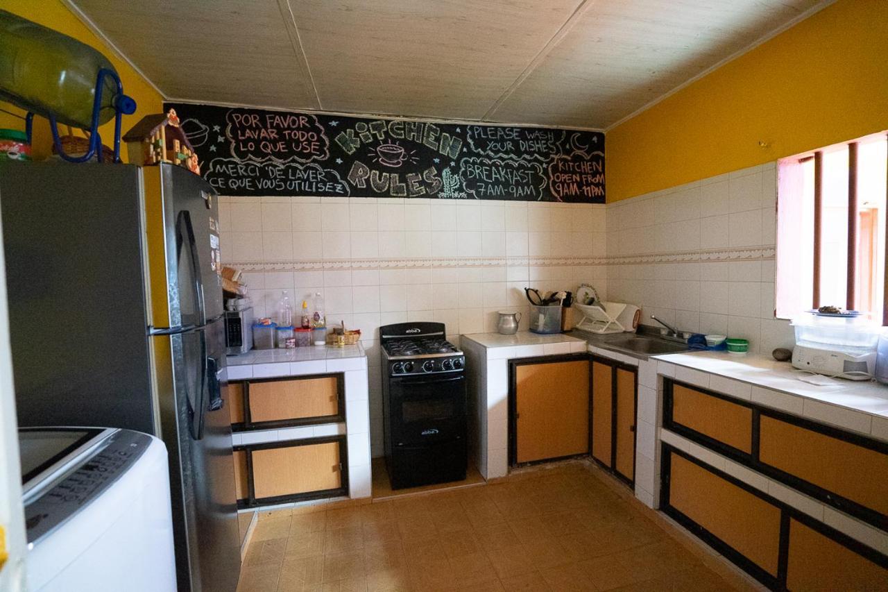 Backpackers And Travellers Hostel 네이바 외부 사진